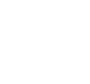 Monkey Soup